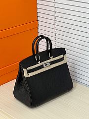 Hermes Birkin 25 Bag Black Ostrich Silver 25cm - 3