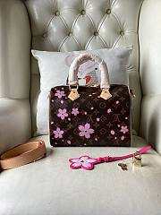 Louis Vuitton LV x TM Speedy 25 Sakura Brown 25x19x15cm - 3