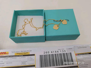 Tiffany and Co Gold Necklace