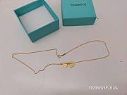 Tiffany and Co Gold Necklace - 4