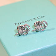 Tiffany Co Earrings 03 - 3