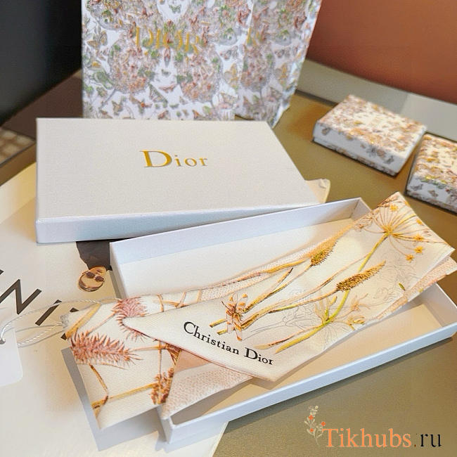 Dior Scarf 6x105cm - 1