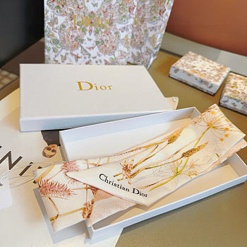 Dior Scarf 6x105cm