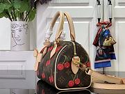 Louis Vuitton LV x TM Speedy Bandoulière 20 Cherry 20.5x13.5x12cm - 5