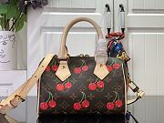 Louis Vuitton LV x TM Speedy Bandoulière 20 Cherry 20.5x13.5x12cm - 4