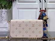 Louis Vuitton LV Pochette Felicie Eden 21x12x3cm - 2