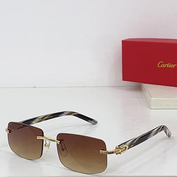 Cartier Sunglasses 04