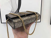 YSL Kate Bag Snake Leather 20x14x5cm - 4