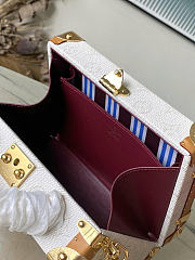 Louis Vuitton LV Handle Trunk Monogram White 24x16.5x8cm - 3