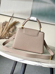 Louis Vuitton LV Grey Capucines BB 27x18x9cm - 5