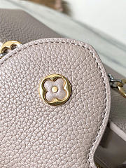 Louis Vuitton LV Grey Capucines BB 27x18x9cm - 2