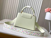 Louis Vuitton LV x TM Capucines BB Green 27x17.3x9cm - 3