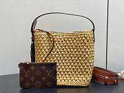 Louis Vuitton LV All In BB Raffia 18x16x12cm - 1