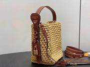 Louis Vuitton LV All In BB Raffia 18x16x12cm - 5