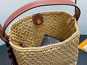 Louis Vuitton LV All In BB Raffia 18x16x12cm - 2