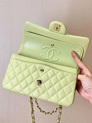 Chanel Flap Bag Light Green Lambskin 25cm - 5