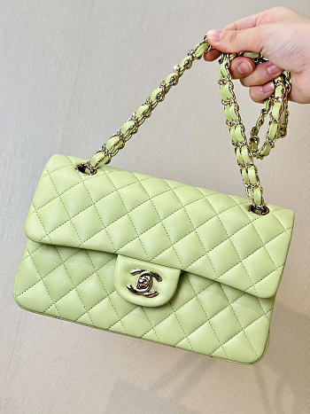 Chanel Flap Bag Light Green Lambskin 25cm