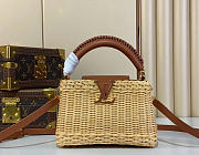 Louis Vuitton LV Mini Capucines Raffia Brown 21x8x14cm - 1
