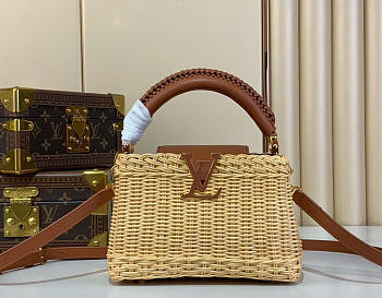 Louis Vuitton LV Mini Capucines Raffia Brown 21x8x14cm