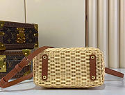 Louis Vuitton LV Mini Capucines Raffia Brown 21x8x14cm - 6