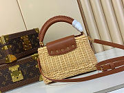 Louis Vuitton LV Mini Capucines Raffia Brown 21x8x14cm - 3