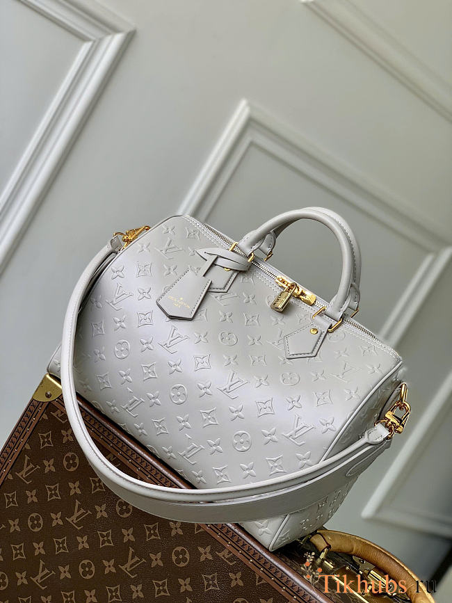 Louis Vuitton Speedy Soft 30 Bag Grey 30x21x17cm - 1