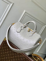 Louis Vuitton Speedy Soft 30 Bag Grey 30x21x17cm - 1