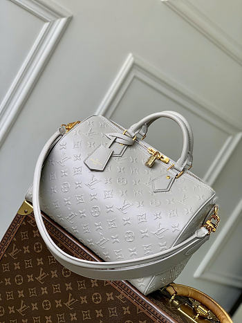 Louis Vuitton Speedy Soft 30 Bag Grey 30x21x17cm