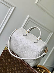 Louis Vuitton Speedy Soft 30 Bag Grey 30x21x17cm - 6