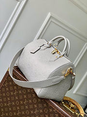 Louis Vuitton Speedy Soft 30 Bag Grey 30x21x17cm - 3