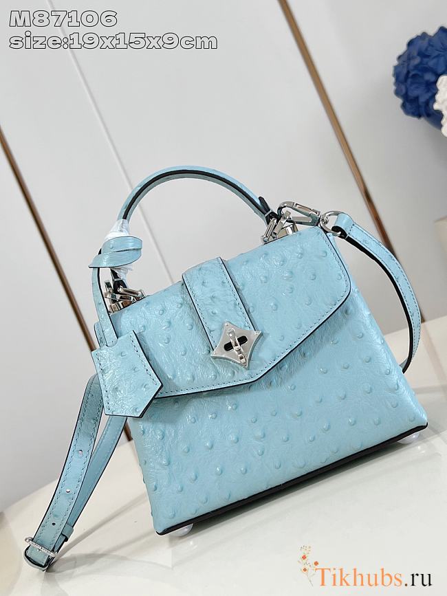 Louis Vuitton LV Rose des Vents Blue Ostrich 19x15x9cm - 1