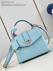 Louis Vuitton LV Rose des Vents Blue Ostrich 19x15x9cm - 1