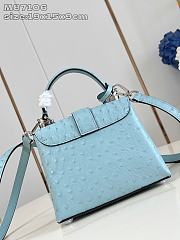 Louis Vuitton LV Rose des Vents Blue Ostrich 19x15x9cm - 4