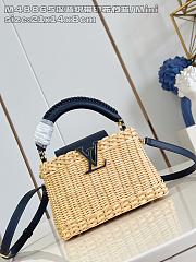 Louis Vuitton LV Mini Capucines Raffia Navy Blue 21x8x14cm - 1