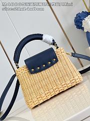 Louis Vuitton LV Mini Capucines Raffia Navy Blue 21x8x14cm - 3