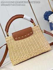 Louis Vuitton LV Capucines BB Raffia Brown 27x9x18cm - 6