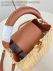 Louis Vuitton LV Capucines BB Raffia Brown 27x9x18cm - 5