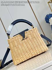 Louis Vuitton LV Capucines BB Raffia Nvay Blue 27x9x18cm - 1