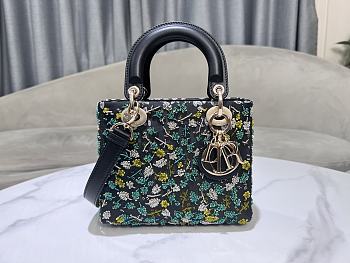 Dior Small Lady Bag Multicolor Black Green 20cm