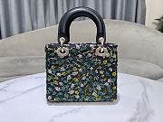 Dior Small Lady Bag Multicolor Black Green 20cm - 3