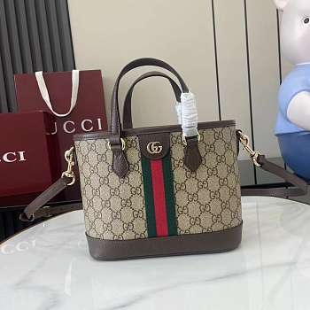 Gucci Ophidia Small Tote Bag Brown 22.5x17x11cm
