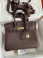 Hermes Birkin 25 Bag Brown Gold Togo 25cm - 1