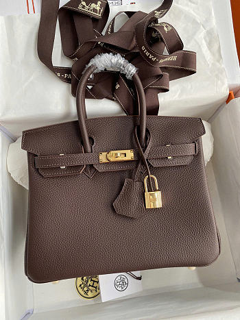 Hermes Birkin 25 Bag Brown Gold Togo 25cm