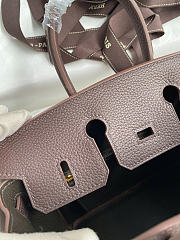 Hermes Birkin 25 Bag Brown Gold Togo 25cm - 3