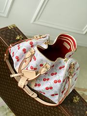 Louis Vuitton LV Keepall 45 Cherry White 45x27x20cm - 4