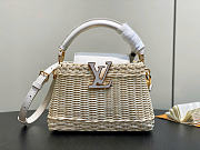 Louis Vuitton LV Mini Capucines Raffia White 21x8x14cm - 1