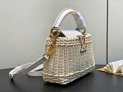 Louis Vuitton LV Mini Capucines Raffia White 21x8x14cm - 6