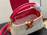 Louis Vuitton LV Mini Capucines Raffia Pink 21x8x14cm - 2