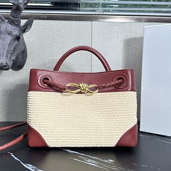 Bottega Veneta Small Andiamo Red Raffia Bag 25x20x10cm