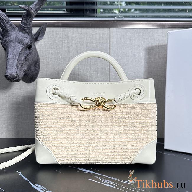 Bottega Veneta Small Andiamo White Raffia Bag 25x20x10cm - 1